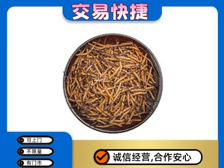 安阳回收散虫草